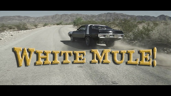 White Mule